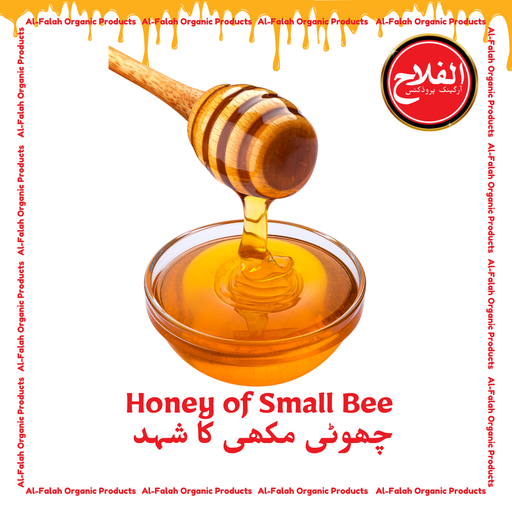 Honey of Small Bee 1kg